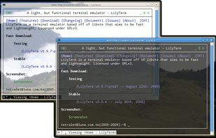 LilyTerm screenshot 2