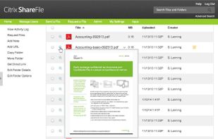Access files anywhere and preview files online