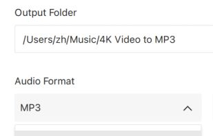 4K Video to MP3 screenshot 3