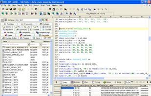 Schema Browser and Query result
