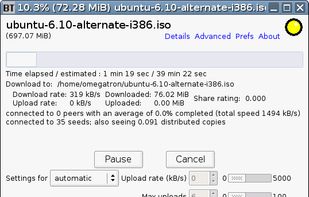 BitTornado screenshot 1