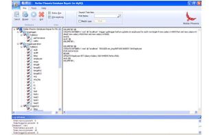 See the preview of corrupt database