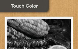 Touch Color screenshot 1