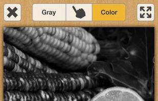 Touch Color screenshot 1