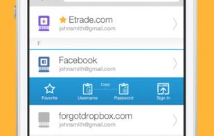 Identity Safe screenshot 1