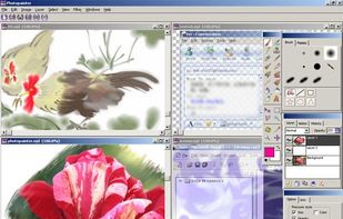 Photopainter screenshot 1