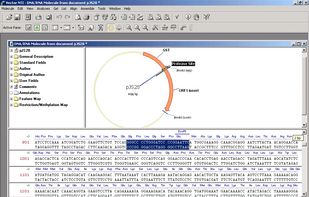 Demonstration of workflow