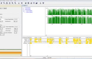 Performing multiple sequence alignments with the new interface of Vector NTI® Express Software