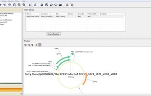 Prescribed workflows make projects such as Contig-Assembly and Gateway® cloning easy to perform, step-by-step