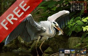 ArtPlus ePix wallpaper calendar screenshot 1