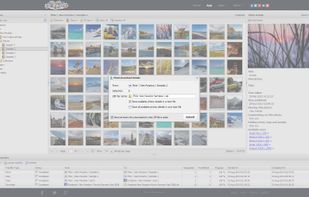 Photo download details