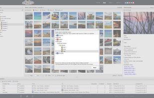 Initiate a transfer of photos