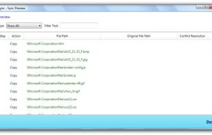 Preview all the sync actions and files involved.