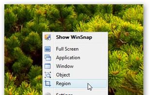 WinSnap screenshot 2