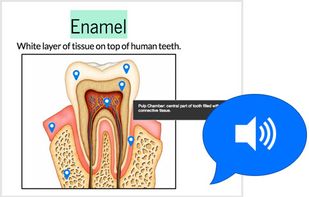 Study Notes being played like Flashcards