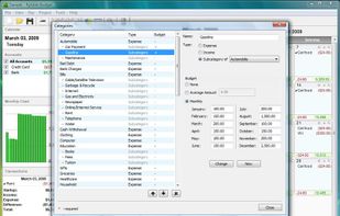 Category management and budget setup 