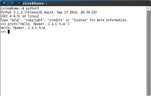 The Python 3.1 interpreter running in a GNOME Terminal