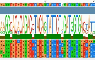 VectorFriends screenshot 1