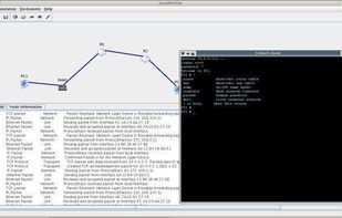 Main screen with running simulation.