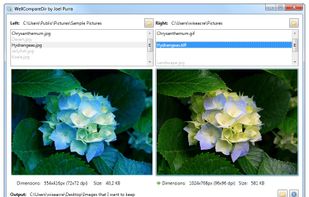 WellCompareDir screenshot 1