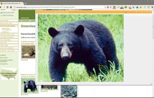 ezLinkPreview screenshot 1