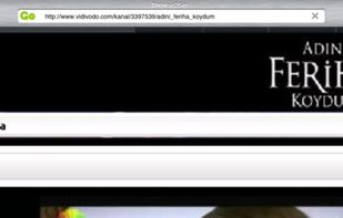 Browse2Go Flash Browser screenshot 1