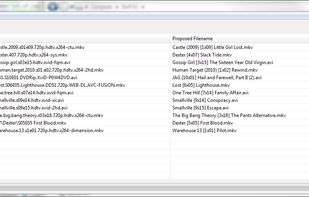 TVRenamer screenshot 1