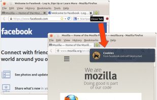 Self-Destructing Cookies screenshot 1