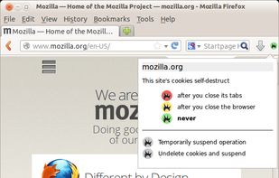 Self-Destructing Cookies screenshot 2