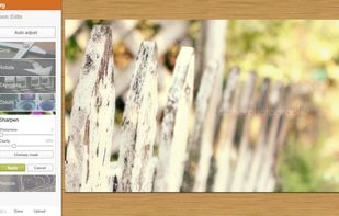 PicMonkey screenshot 1