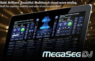 MegaSeg screenshot 1