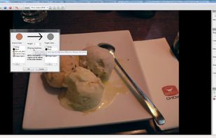 Mapping the dinner plate's colour to white (the colour that it should be)