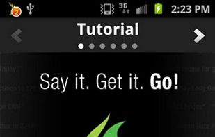 Dragon Go! screenshot 1