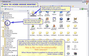 How to work Mouse Hunter