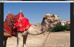 qAllInOne screenshot 1