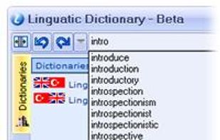 Linguatic screenshot 1