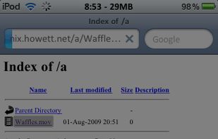 Safari Download Manager screenshot 1