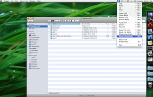 TileWindows screenshot 1