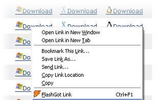 FlashGot screenshot 1