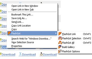 FlashGot screenshot 1