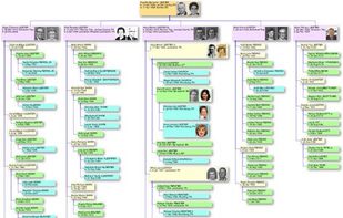 Reunion screenshot 1