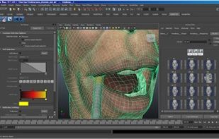 facial animation