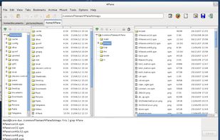Dual-pane with terminal emulator