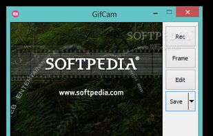 GifCam screenshot 1