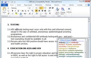 tlTerm Microsoft Word addon