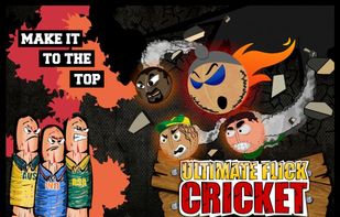 Flick Cricket HD screenshot 1