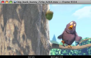 Open RV screenshot 2