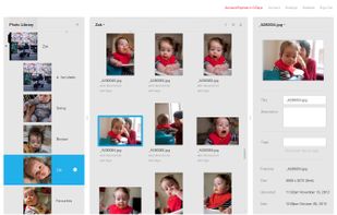 Director - Simple organisation