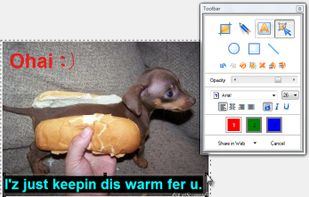 The window where you can edit your screenshot