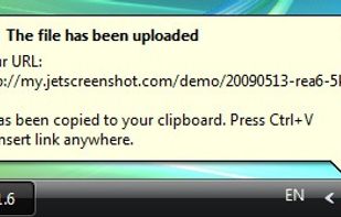 File uploaded to internet. The link to it is copied into clipboard